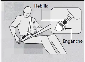 Cinturones de seguridad