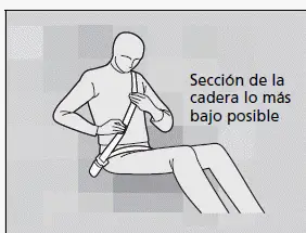 Cinturones de seguridad