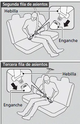 Cinturones de seguridad