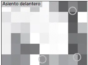 Cinturones de seguridad